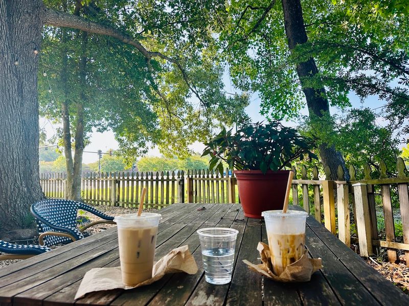 Outdoor Seating Under an Ancient Oak That Feels Like a Scene From a Movie