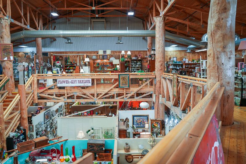 Two Floors of Pure Treasure-Hunting Bliss