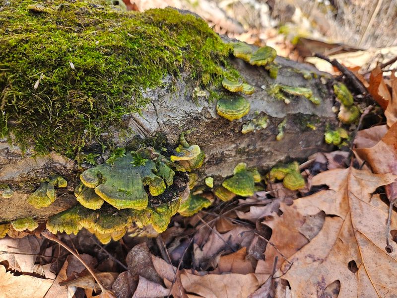 Diverse Ecosystems Packed Into Just Over a Mile of Trail