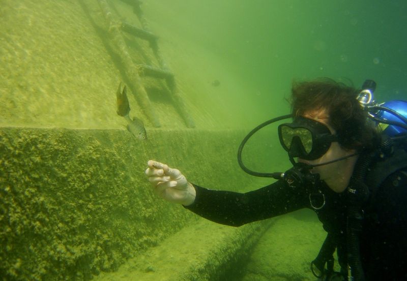 The Amphibious Cargo Truck That Stops Divers Cold