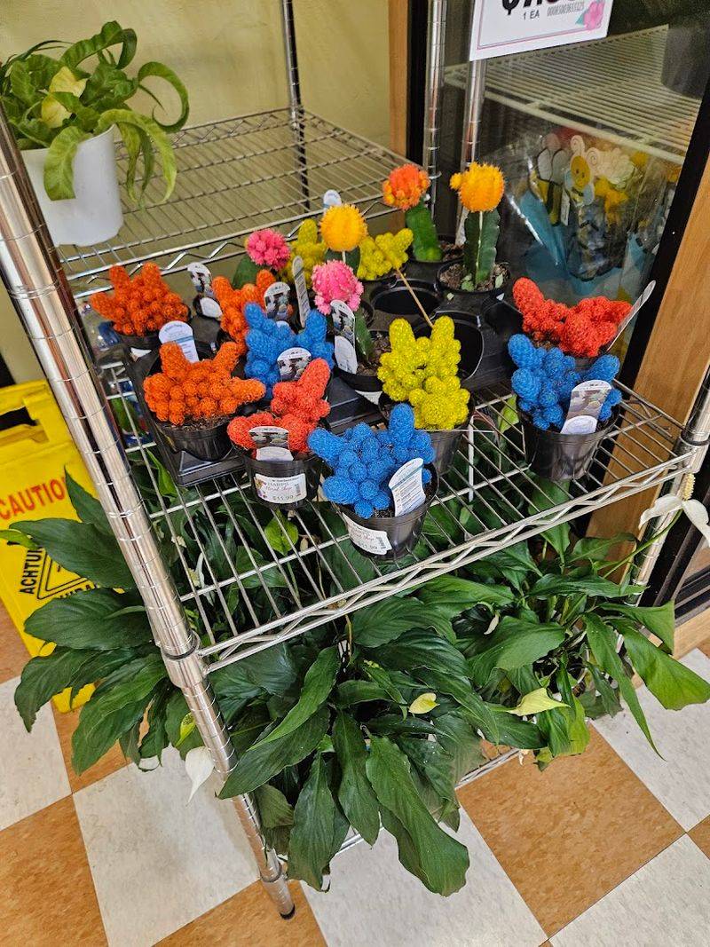 Fresh Produce Section Worth Every Stop