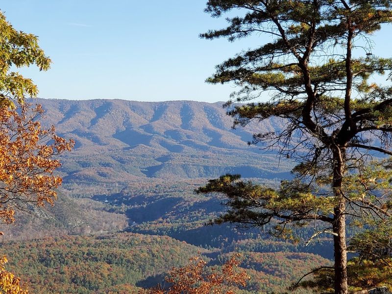 Over Forty Miles of Trails Worth Every Step