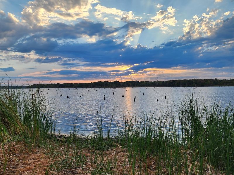 Lakeside Camping That Feels Like a Dream