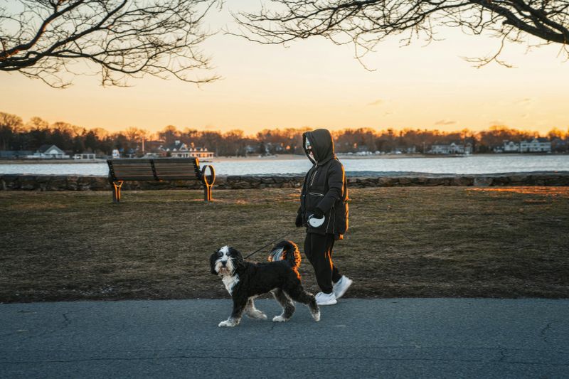 Dog-Friendly Trails and Open Green Space