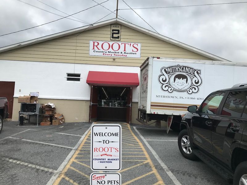 The Grayson Road Entrance To A Sprawling Wonderland