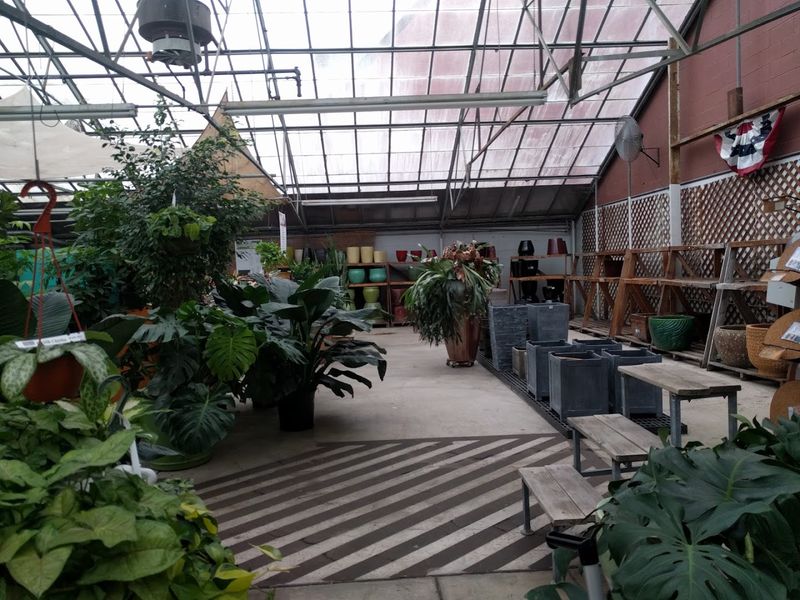 Stepping Into a Tropical World Right in Richmond