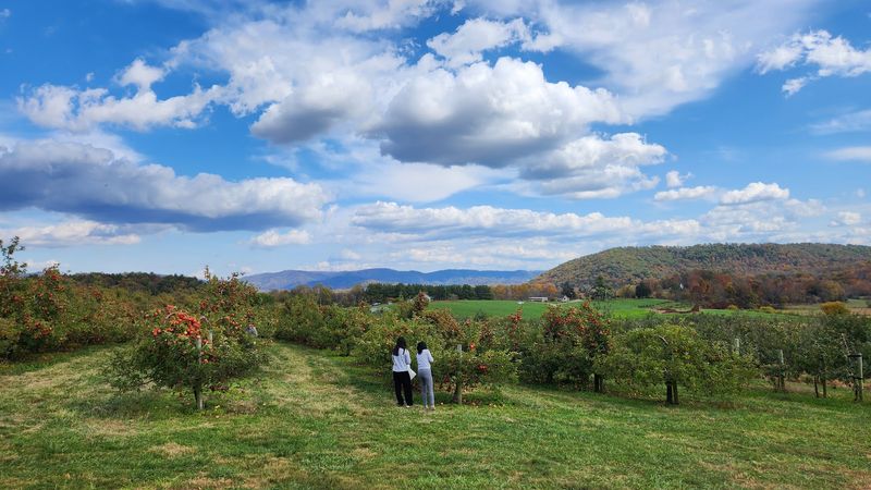 The Blue Ridge Mountain Setting That Makes Everything Better