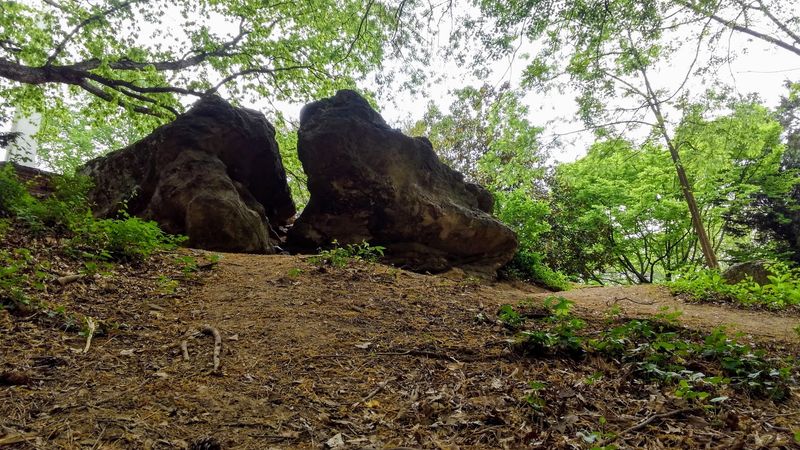 The Mary Washington Monument: An Obelisk Worth the Walk