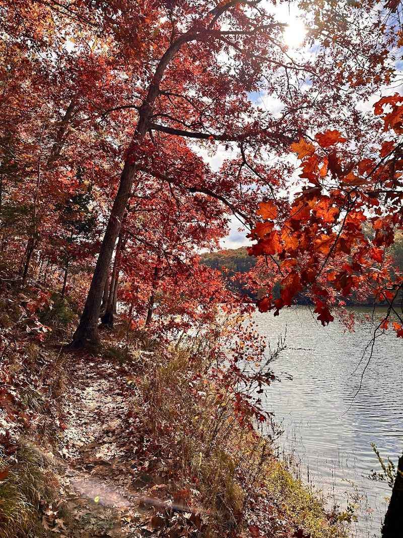 Rugged Terrain That Actually Challenges You