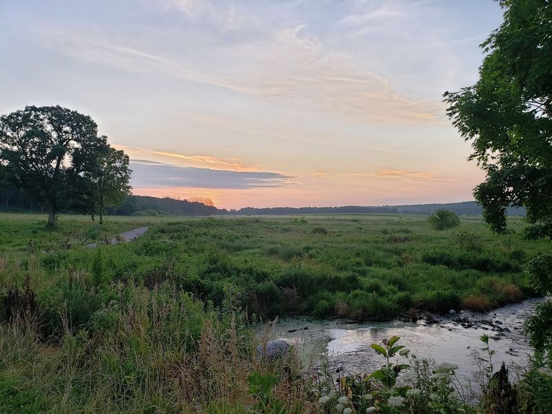 Camping That Actually Delivers on Comfort and Convenience