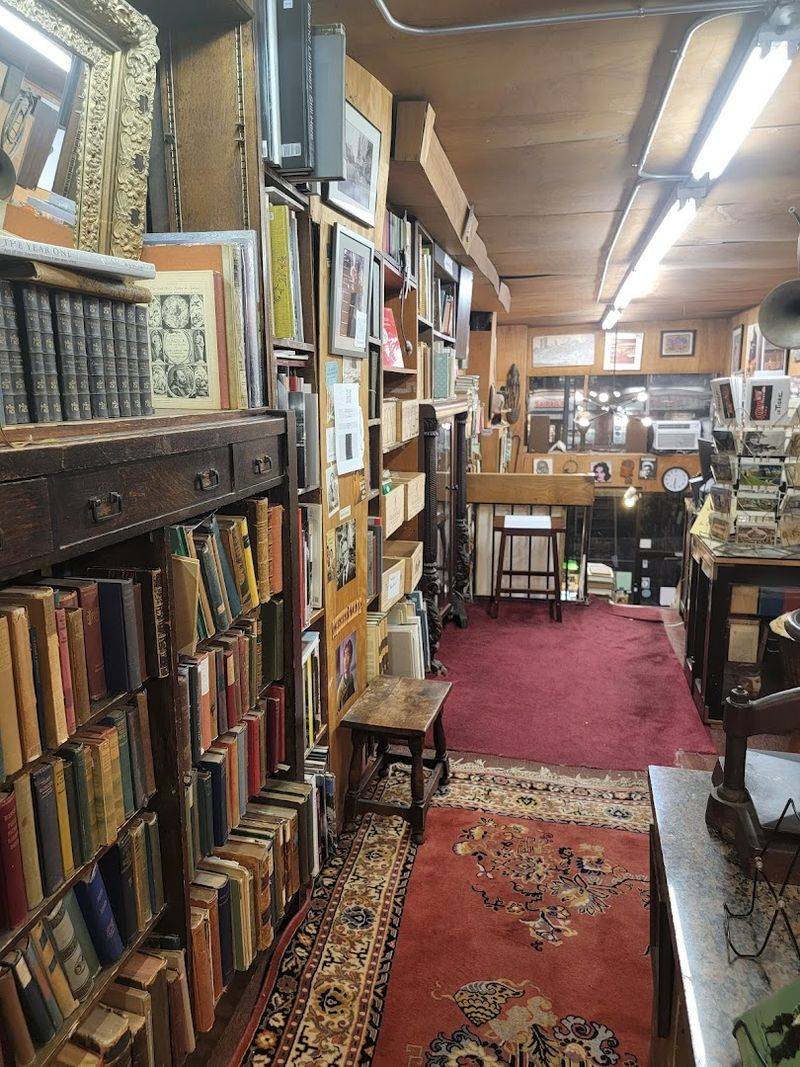 Rare Books That Feel Like Real Discoveries