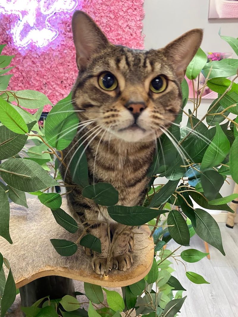 Donation Based Visits Supporting Life Saving Work