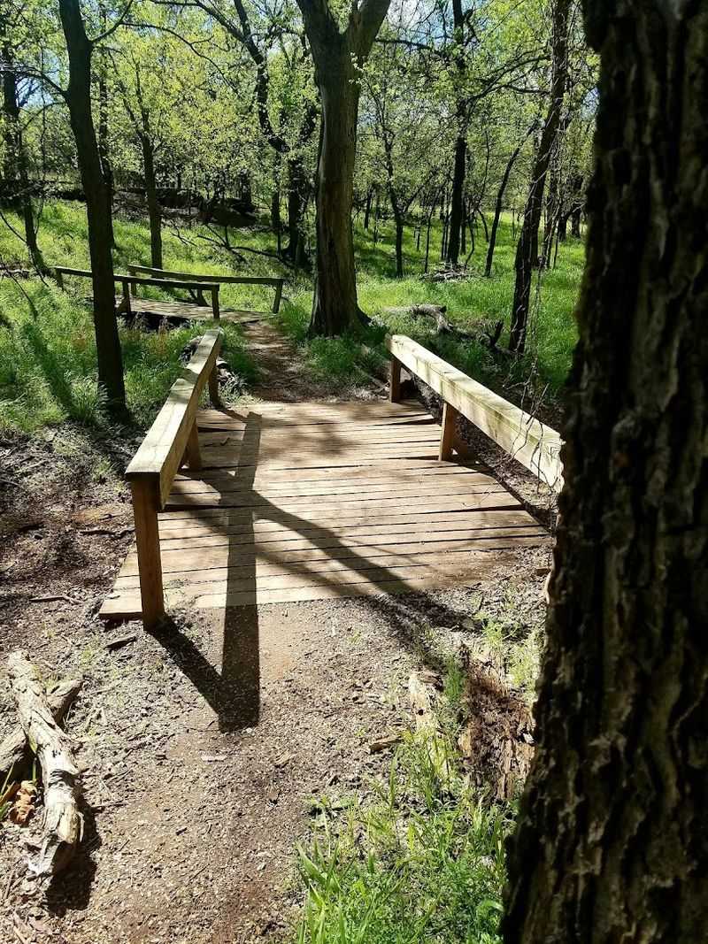 The Storybook Forest Is the Park's Best-Kept Secret