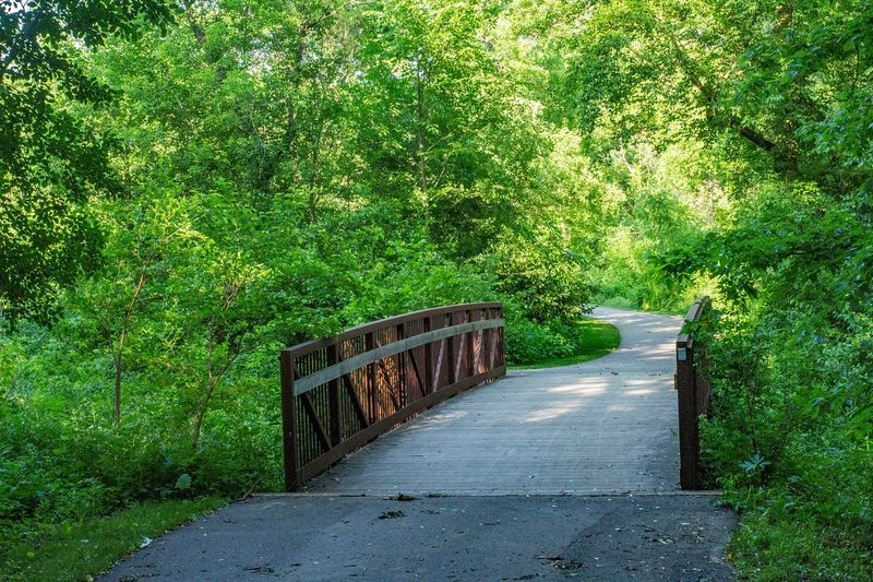 Miles of Trails for Every Kind of Walker