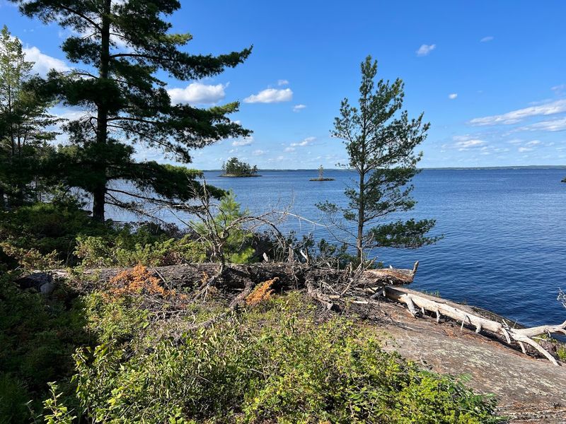 The History Behind the Name