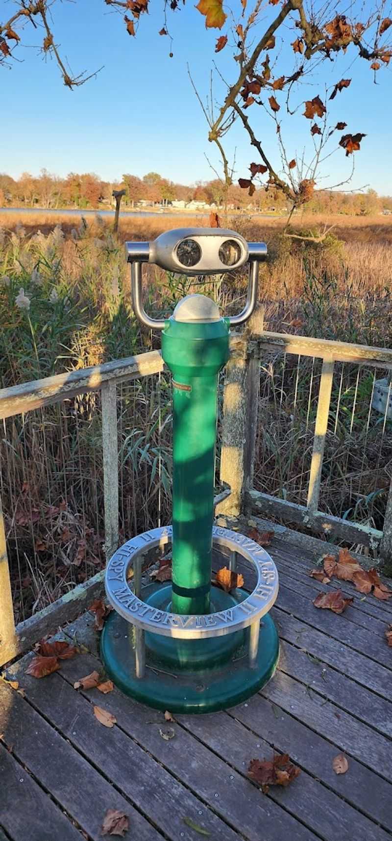 The Diversity of Habitats That Drives the Birding