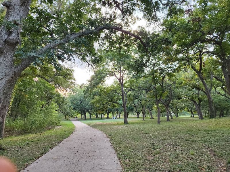 The One-Mile Trail That Rewards Every Step