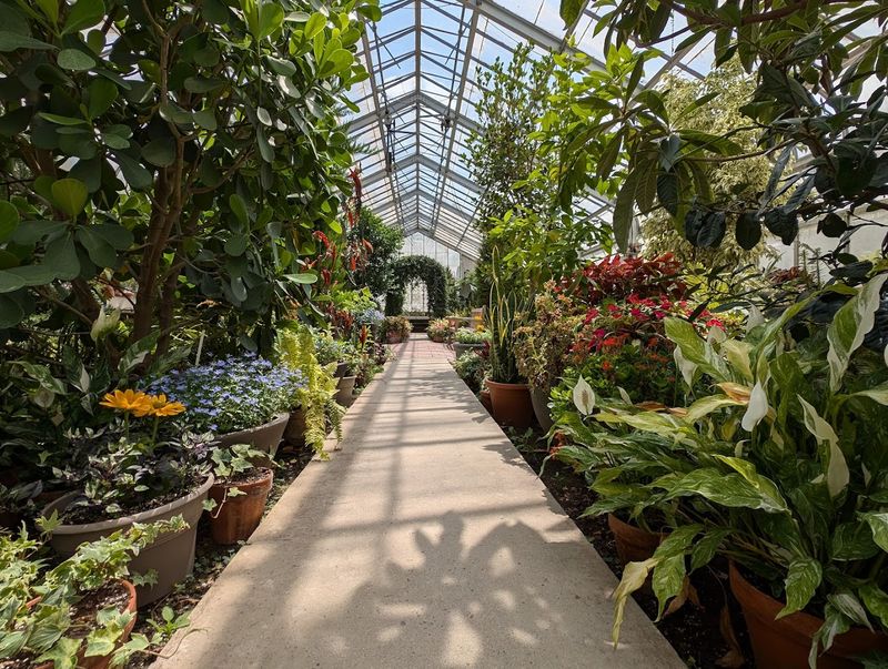 Paper Luminaries Line The Path Through The Woods