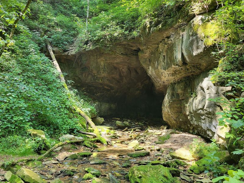 Educational Guided Tours Led by Naturalists