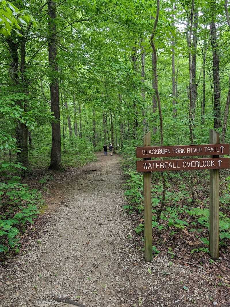 The Gentle Descent Along A Leafy Woodland Path