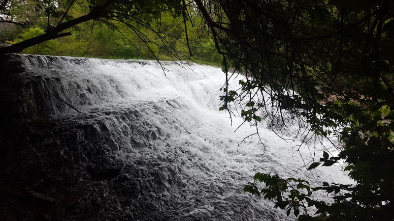 That First Glimpse Of Splashing White Through The Leaves