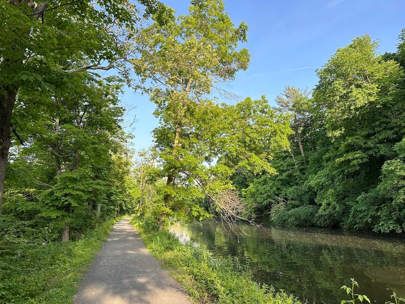 Senior-Friendly Design That Does Not Compromise on Beauty