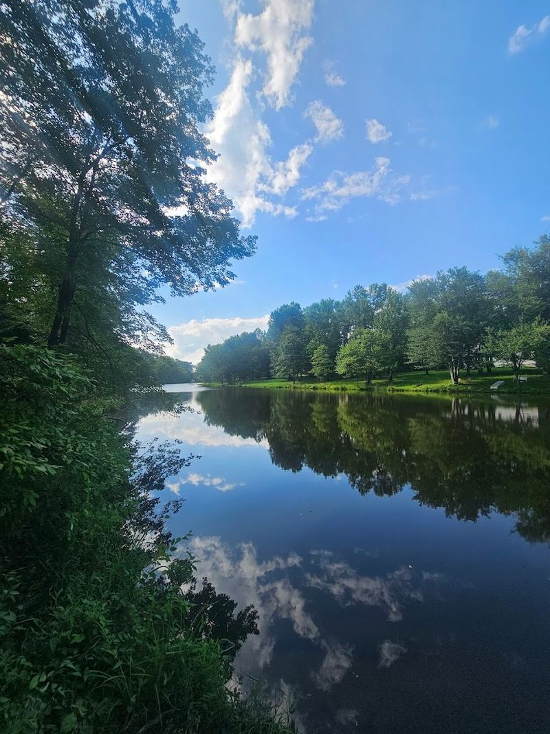 The Rare Freshwater Tidal Marsh: Nature's Own Wonder