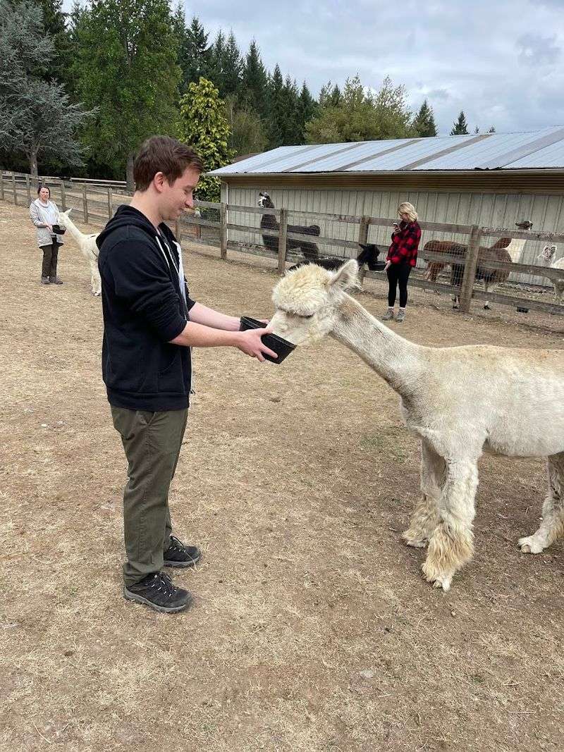 What Makes Topstall Farm Stand Out