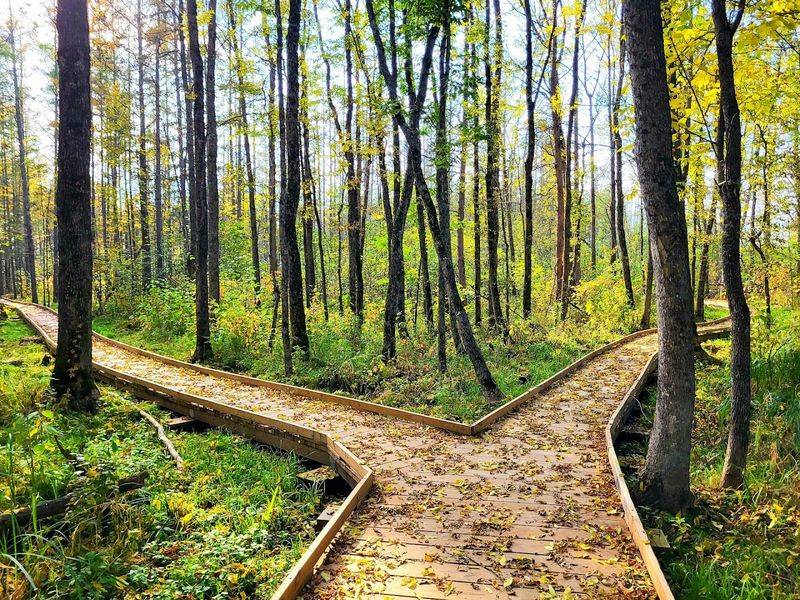 Why This Hidden Trail Deserves More Attention