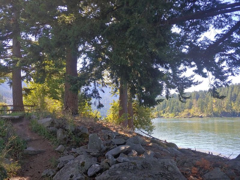 Wildlife And Birds Around Every Corner