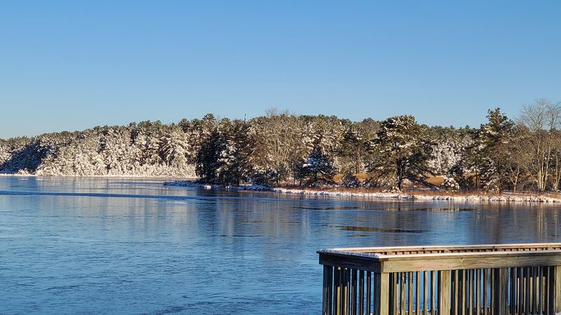 Wildlife That Shows Up Without Warning and Stays Memorable