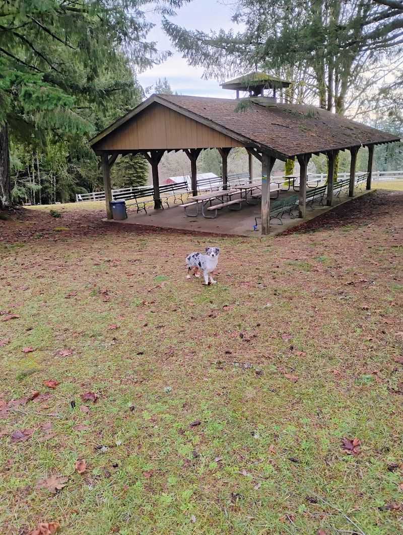 Outdoor Seating With a Relaxed Vibe