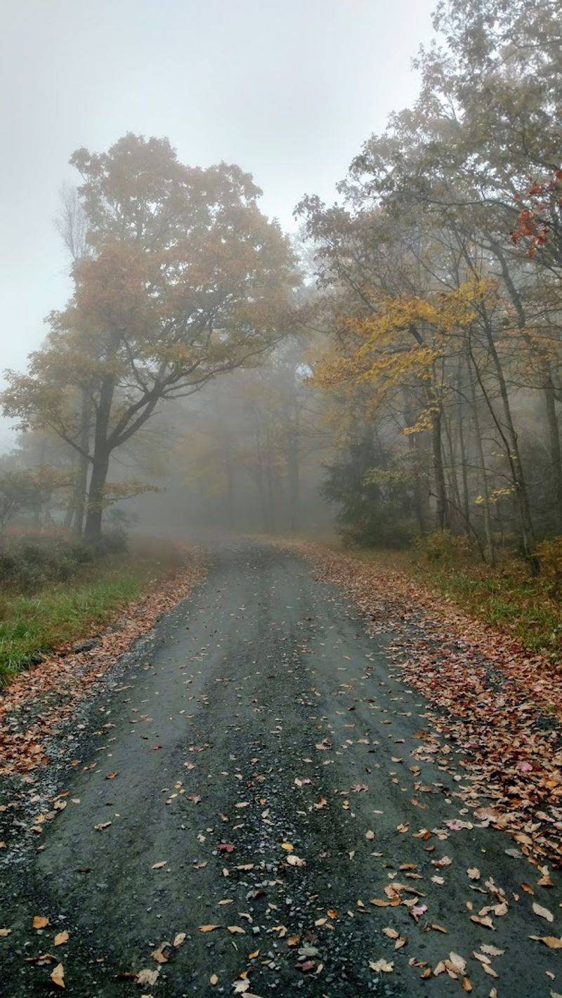 Where Exactly Is This Place Hiding