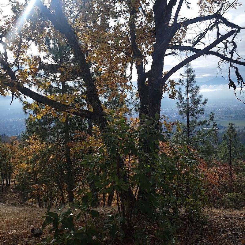 Tips for First-Time Visitors to Dollar Mountain