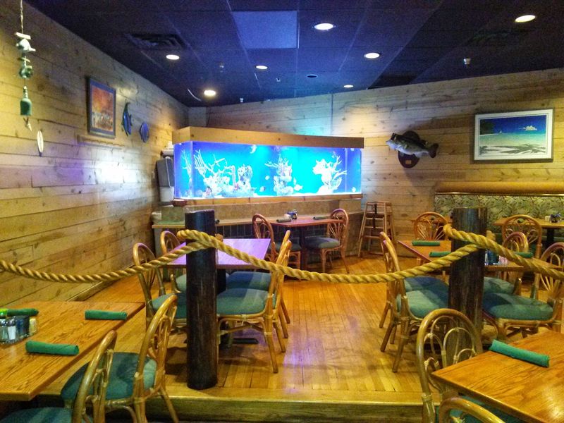 Where Every Seat Comes With A Mesmerizing View