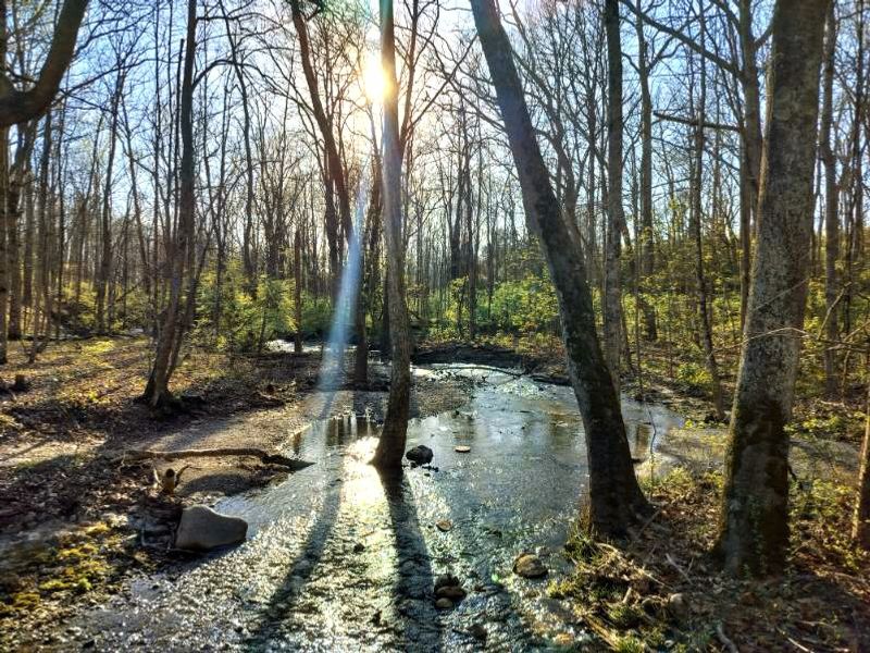 The Simple Joy Of Finding A Waterfall In The Woods