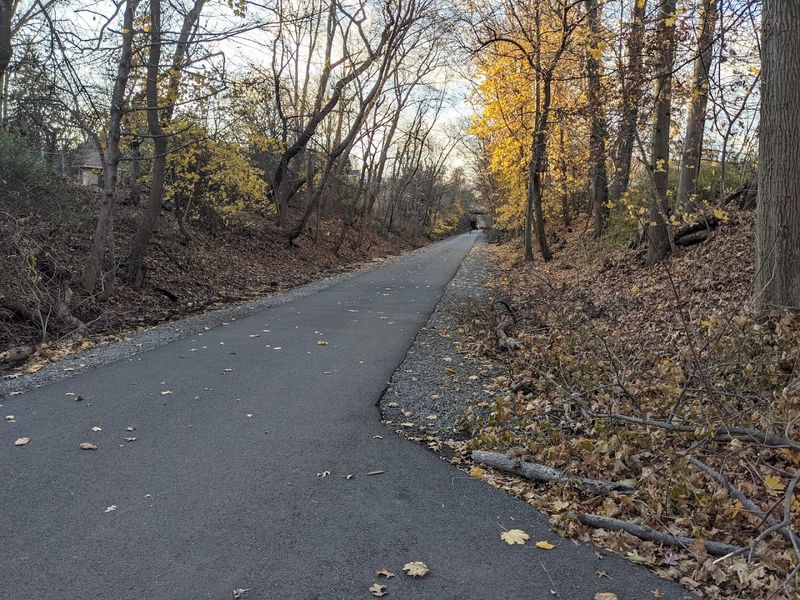 The Smooth, Wide Path That Welcomes Everyone