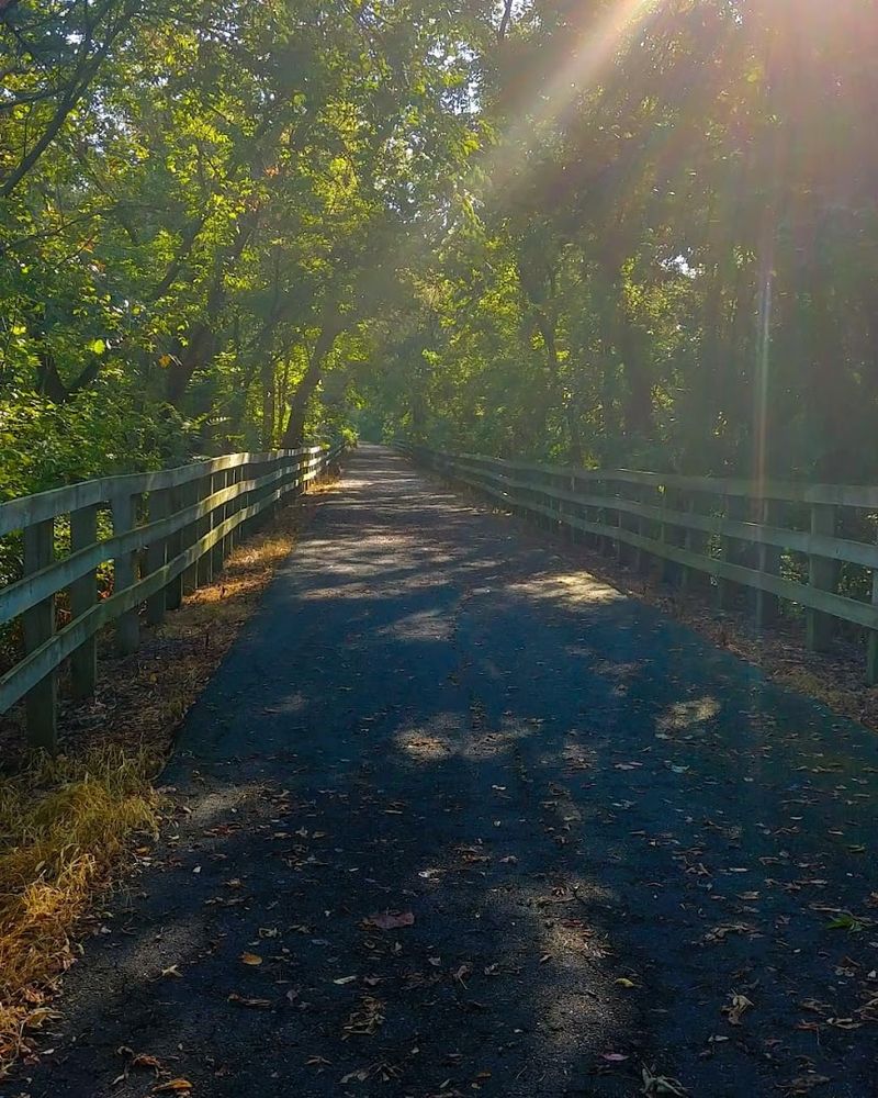 Birdwatching That Will Genuinely Surprise You