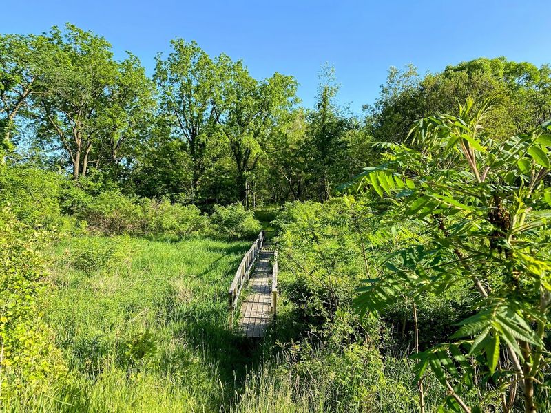 A Trail System That Rewards Explorers Without Overwhelming Them