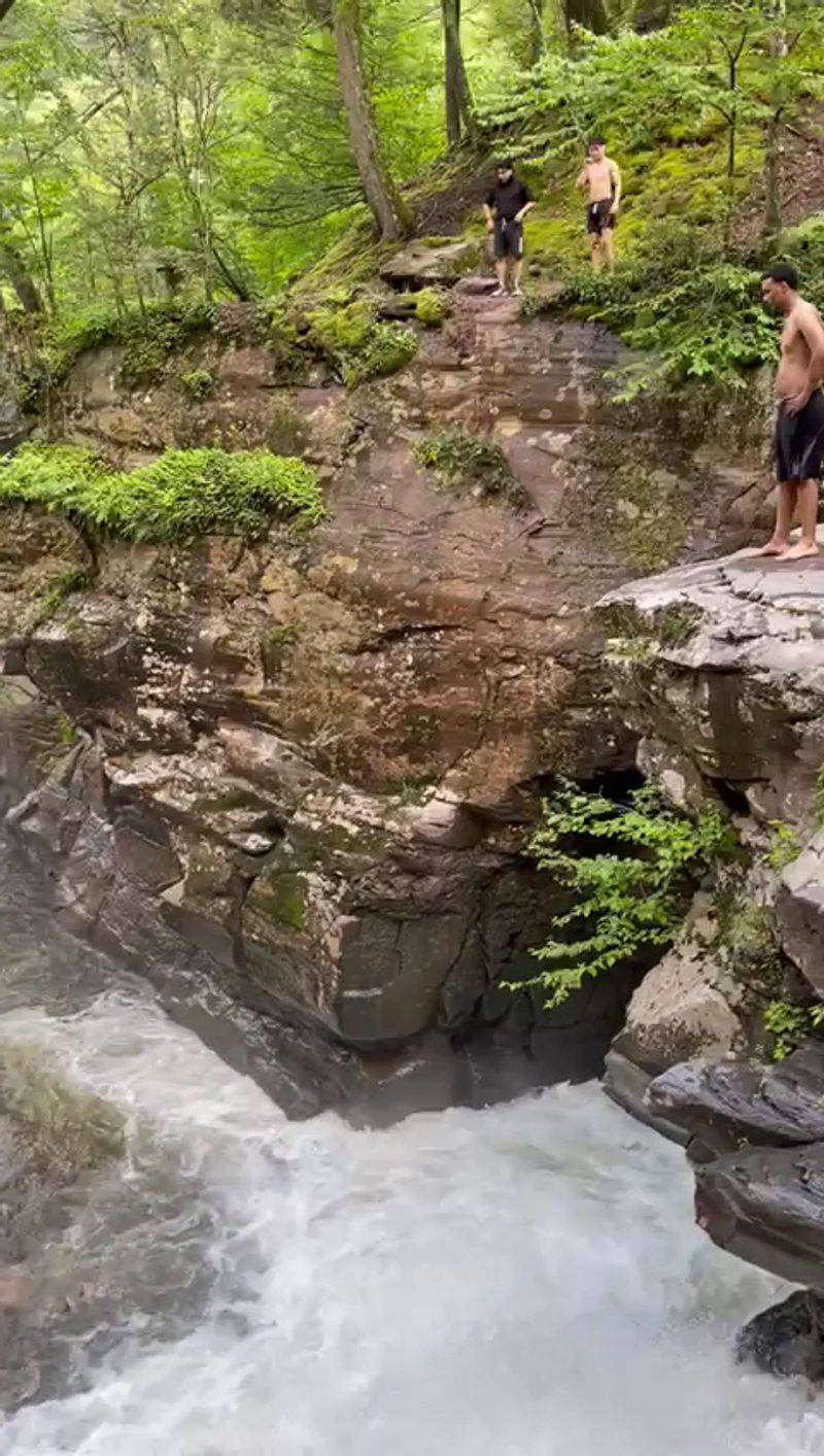 The Quiet Rush To Secure A Perfect Perch