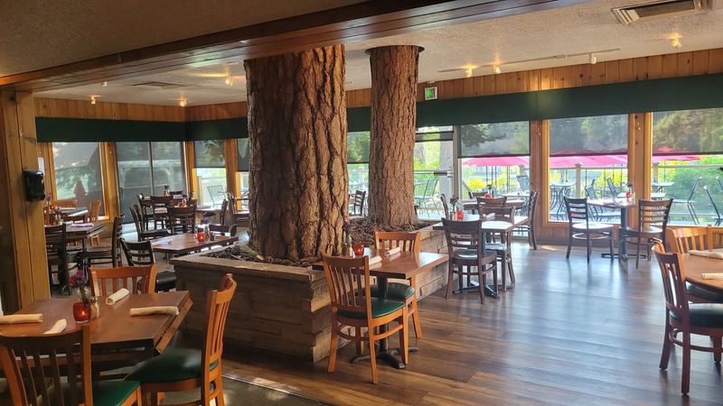 Giant Ponderosa Pines Growing Right Through the Floor