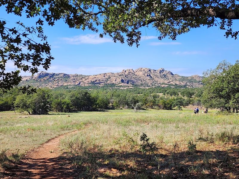 Where the Trailhead Begins and What Surrounds It