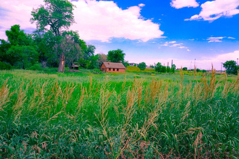 The Sacred Roots of Valmont Butte
