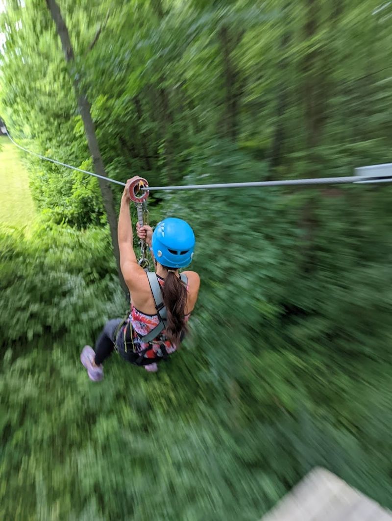 Zip Lines That Deliver Pure Forest-Level Excitement