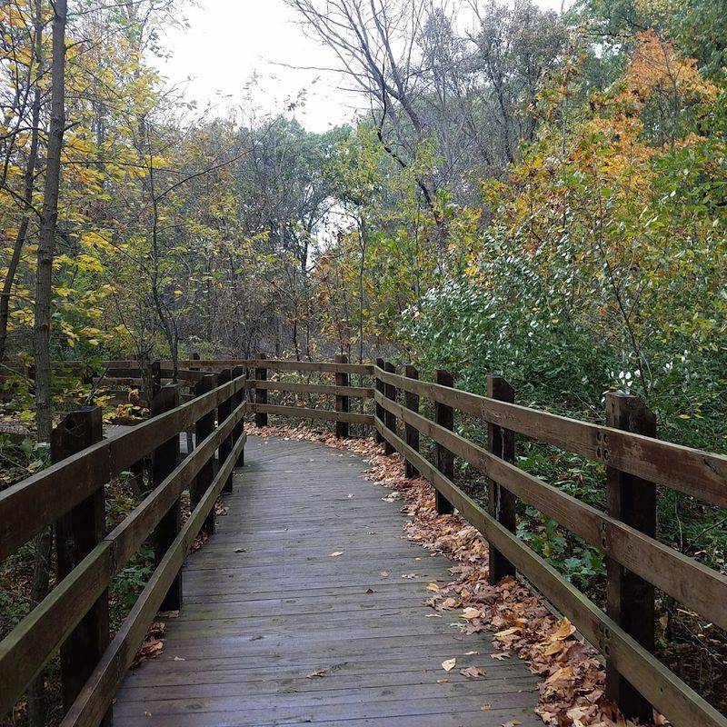 An ADA-Accessible Boardwalk That Brings Everyone Into the Marsh