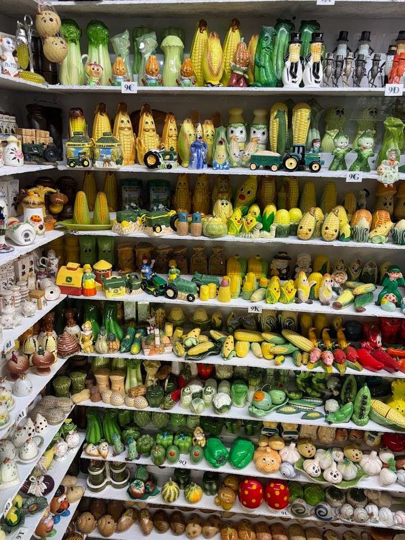 The Collection That Outgrew Every Room Of A House