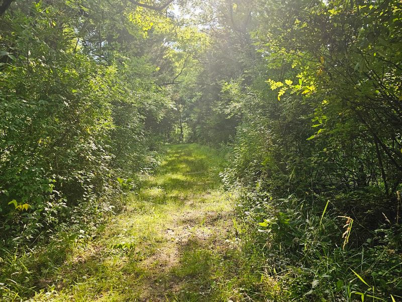 Peaceful Solitude That Is Hard To Find Anywhere Else