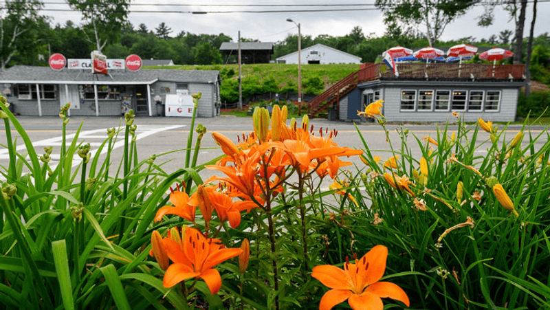 Plan Your Visit to 55 Mt Major Highway
