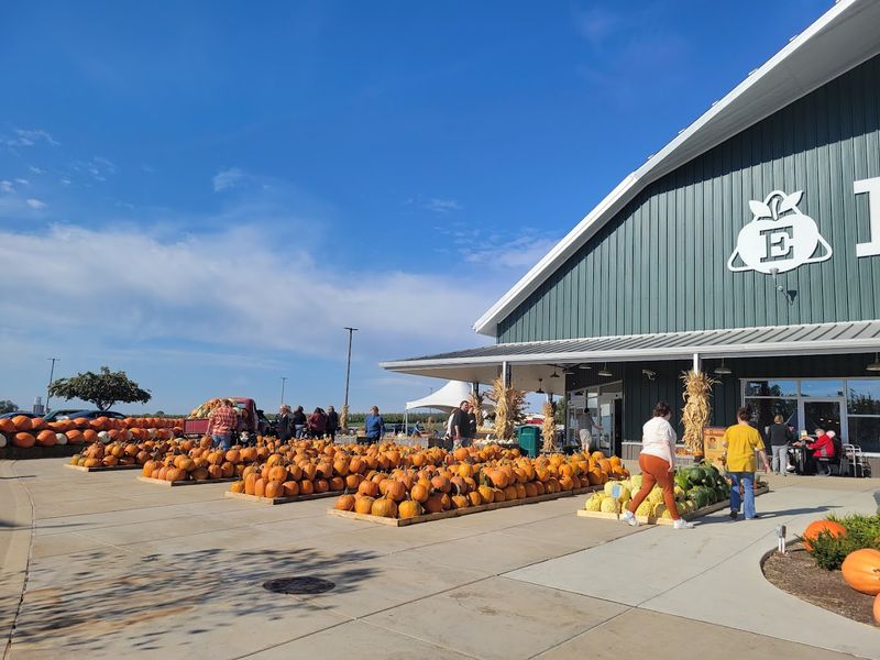 Why Families Can Easily Spend Hours Here