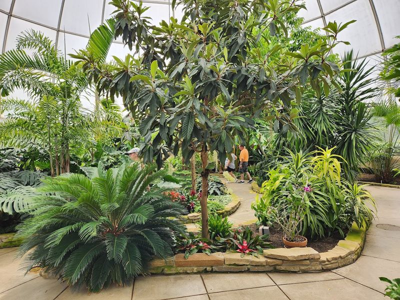 Musicians Play Inside The Glass Biome Rooms